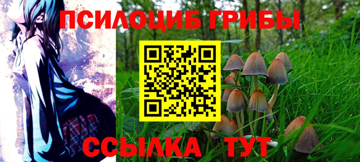 Галлюциногенные грибы Magic Shrooms Благодарный