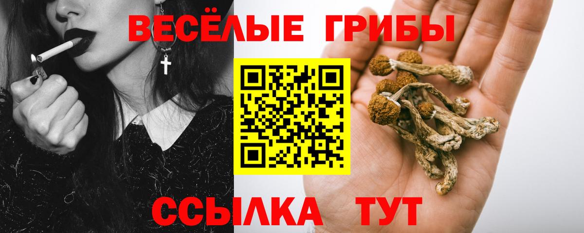 Галлюциногенные грибы Psilocybine cubensis  цены наркотик  Псилоцибиновые грибы ЛСД  Благодарный  Вход с VPN 